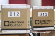 Voter wins case on postal voting