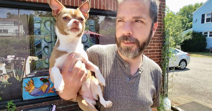 Annual Art Bazaar raises funds, awareness for the Animal Welfare Society of Jefferson County