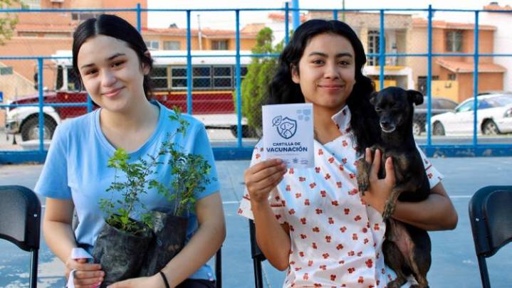 Este sábado: plantas, vacunas, desparasitación de perros en Platanito