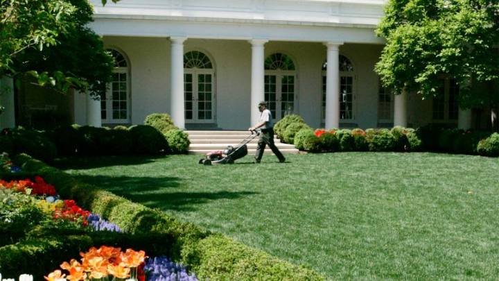 A history of the White House Rose Garden