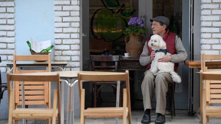 Viajar con animales es más fácil gracias a «Oviedo con Perro»