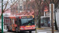 Navigating campus transportation: how to get around IU