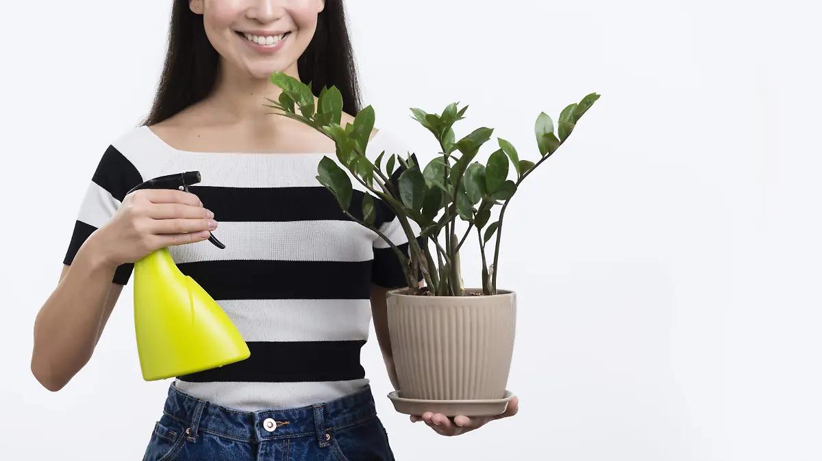 Cuida tus plantas durante el verano con estos consejos y evita que se quemen