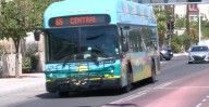 Study gives recommendations on how ABQ Ride can improve safety on buses