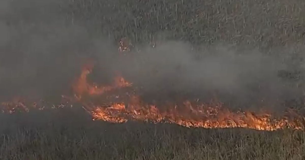 Emergencia ambiental: Incendios en los Everglades afectan aire y visibilidad en Broward y Miami