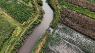 Tras desbordamiento del Río Apaseo, limpian viviendas y refuerzan bordos