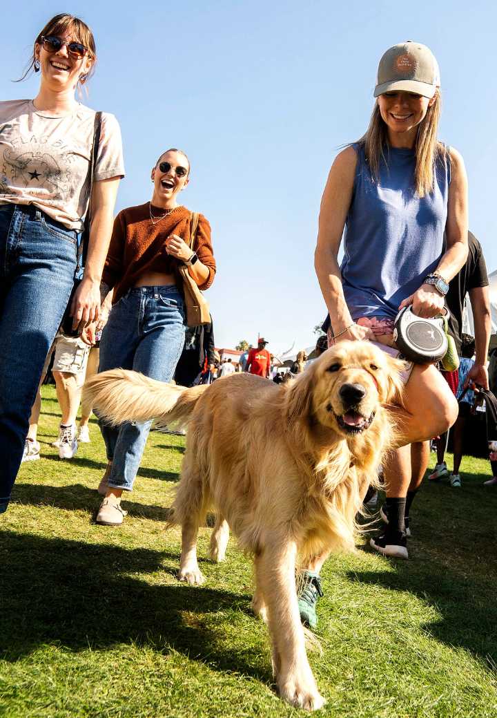 Free Arizona Fall Festival returning to celebrate diverse culture, art