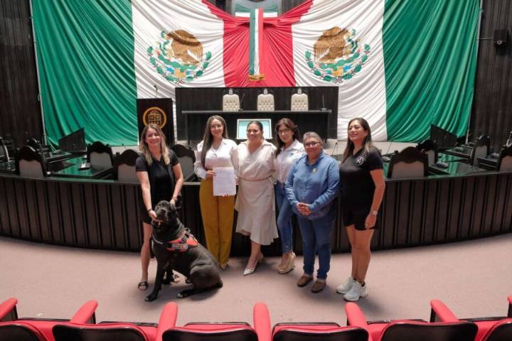 Quintana Roo garantiza acceso con perros de asistencia y animales de apoyo emocional