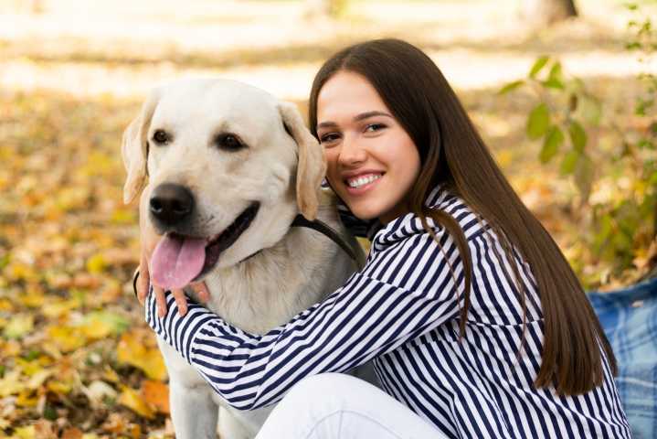 Más del 27% de los perros en México ya son ancianos