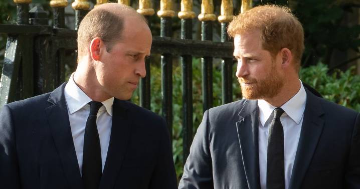 Prince Harry risks shattering reconciliation with William with one calculated move