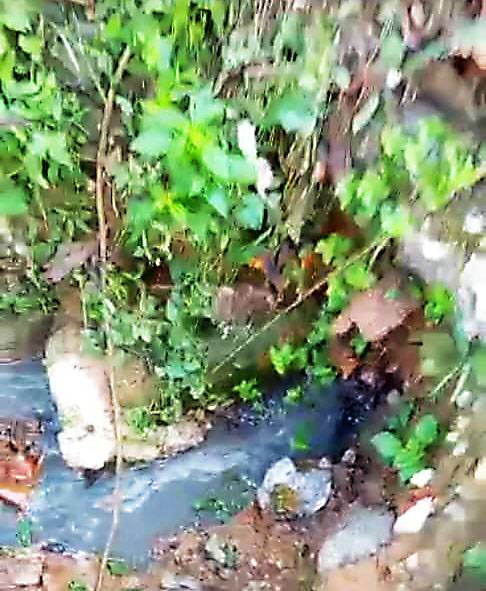 Cambian 12 metros de tubería de aguas servidas en Los Alpes