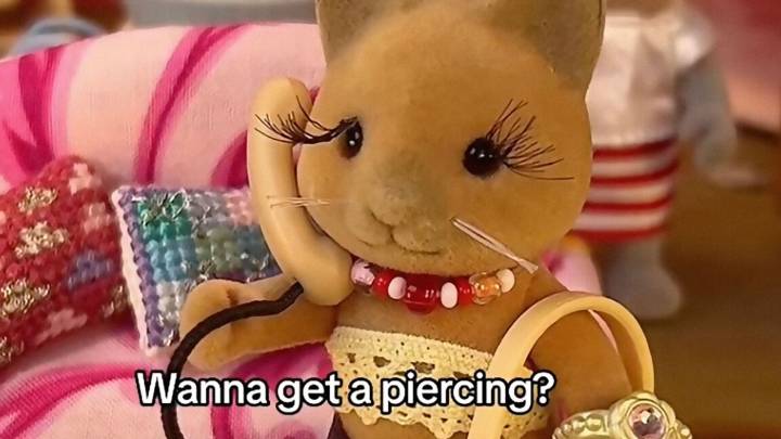 Toymaker suddenly drops lawsuit against “Sylvanian Drama” TikToker