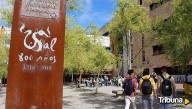 La USAL ofrecerá programas de formación para el empleo a jóvenes con discapacidad intelectual