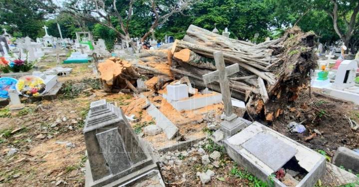 Más de 500 tumbas en Tampico tienen títulos de propiedad desactualizados