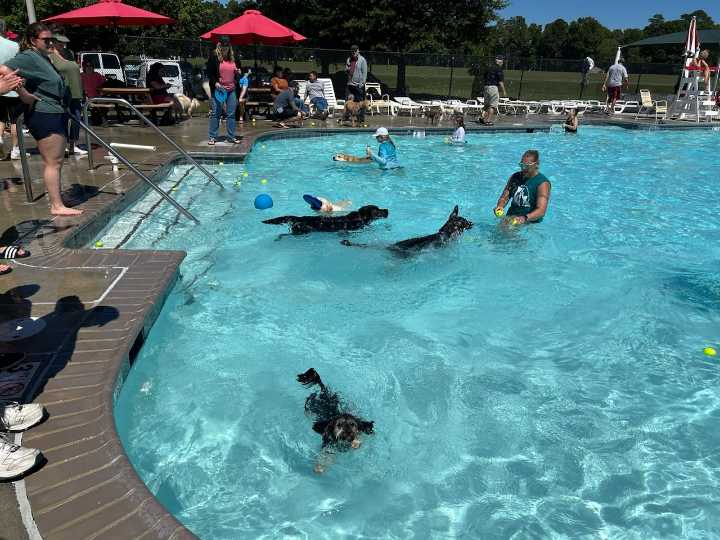 Furry Friends Feature: Paws, Putts & Poses: Help Homeless Pets at These Fun Heritage Humane Society Events