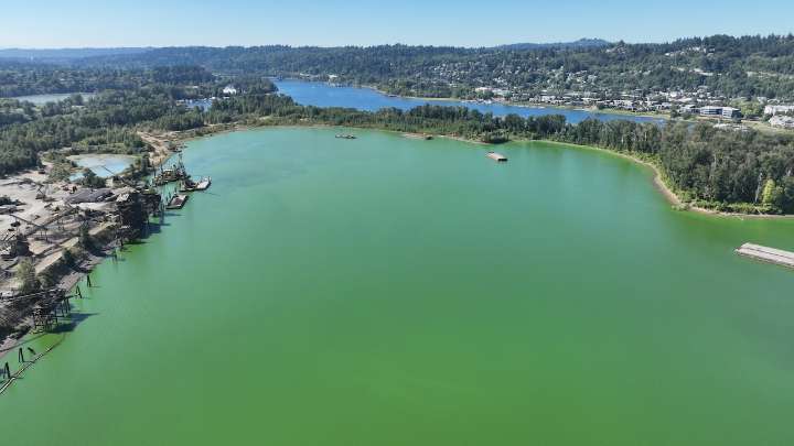 It’s safe to swim in the Willamette again after toxic algal bloom
