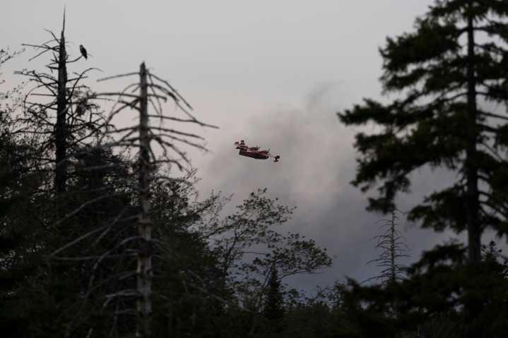 How industrial forestry and climate change created the NS wildfire problem