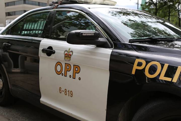 Brampton man drowns after jumping off bridge into the Grand River