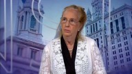 Councilmember Gale Brewer discusses report on 'ghost plates'