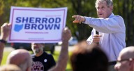 Sherrod Brown, Ohio’s highest-profile Democrat, expected to seek a return to the US Senate in 2026