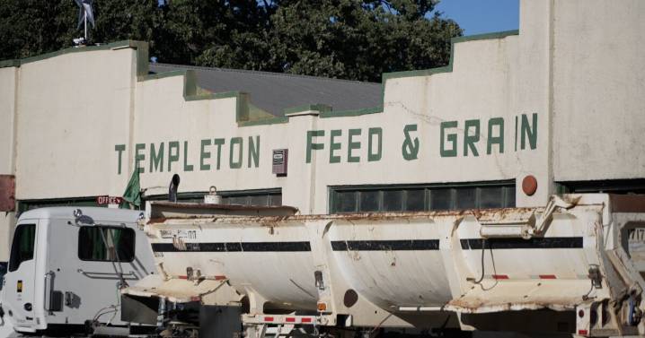Community members raise questions about Feed and Grain fire