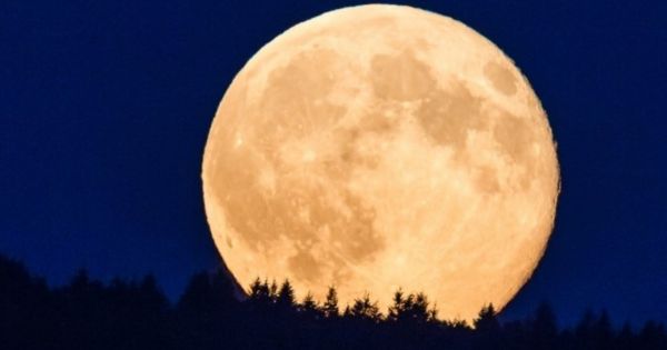 Se acerca la luna "pez": cómo ver el fenómeno astronómico que llega este fin de semana