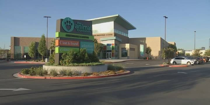 Clark County approves supplemental animal shelter, $3M temporary shelter facilities