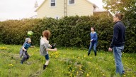 16 Durable Ground Cover Varieties You Can Actually Walk On
