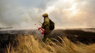 Última hora de los incendios en España, en directo | Cataluña restringe el acceso a 11 parques naturales