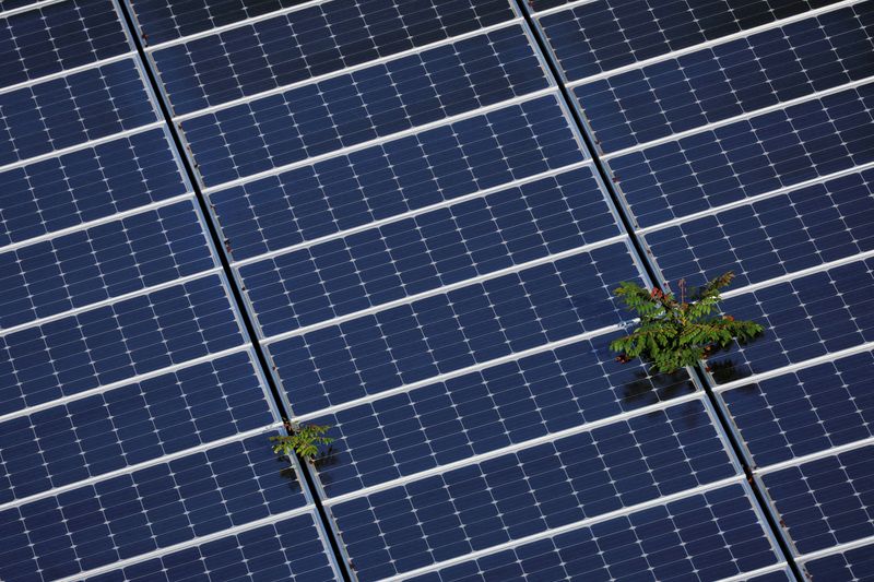 USDA ends programs for solar, wind projects on farms
