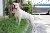 No te pierdas hoy, “Adopta como Héroe” en Parque El Reliz