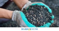 Tipos de abono para las plantas