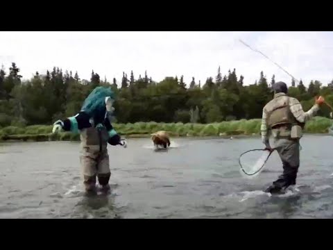 Watch: NHL Mascot Has Close Encounter with Grizzly Bear
