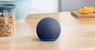 Wowcher beats Amazon's price on newest Echo Dot in 'fast selling' online deal