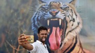 Don't let a selfie be the end of you