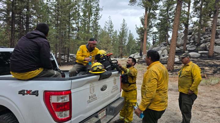 Liquidados incendios forestales de San Pedro Mártir y Sierra de Juárez