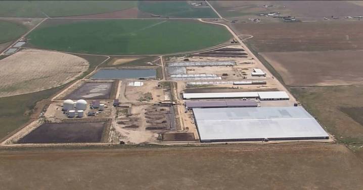 Six dead in accident at Colorado dairy