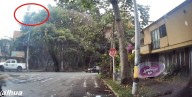 Video muestra el momento exacto en que aeronave se desploma en parque de Medellín