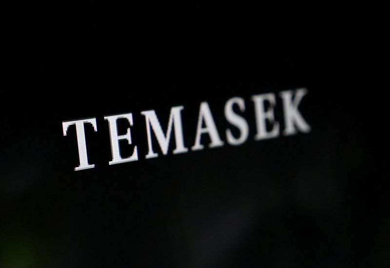 Singapore's Temasek-backed entity to acquire 16% stake in Ayala's healthcare arm