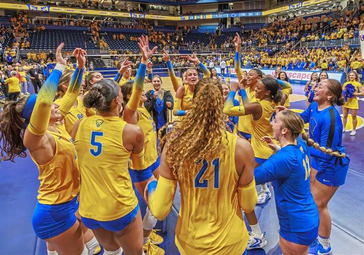 Pitt volleyball preview: Top matches to watch, including showcases and a date with the reigning champs