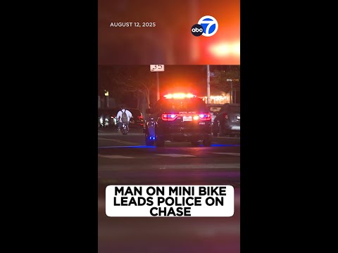 Man on mini bike leads police on bizarre LA chase