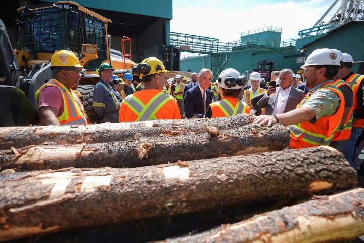 Lumber producers praise federal plan to diversify markets amid trade war with U.S.