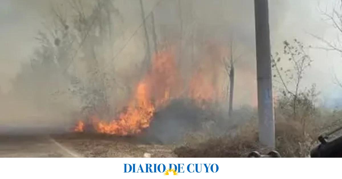 Importancia de prevenir para evitar tragedias