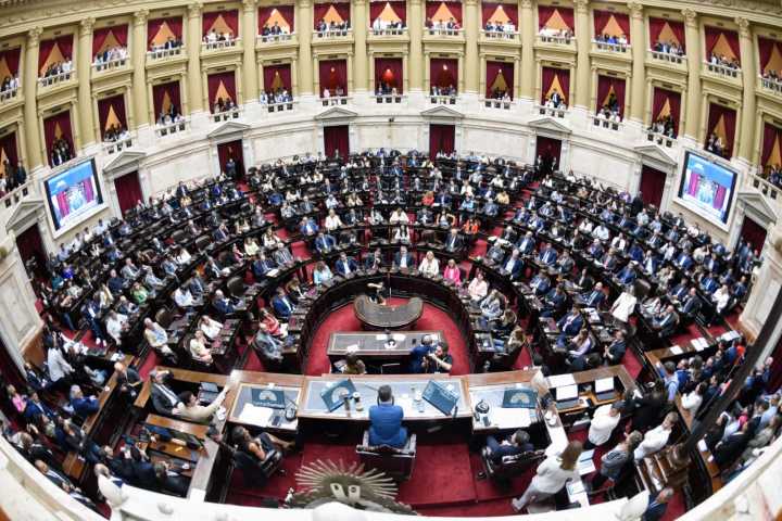 En una megasesión en Diputados, la oposición intentará hoy frenar los vetos de Milei