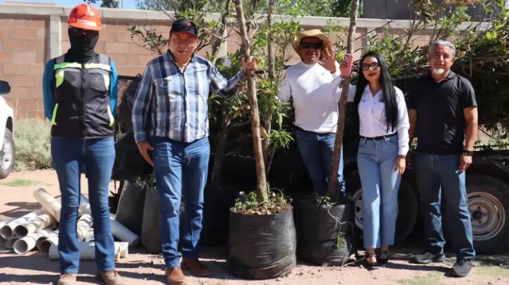 Impulsa reforestación Preparatoria Municipal