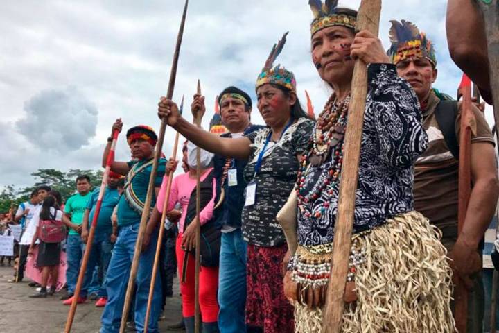El modelo latinoamericano de Clínicas Jurídicas Ambientales, por Andrea Domínguez Noriega