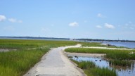 See the views from Zeke's Island Reserve