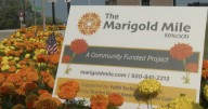 Marigold Mile expands from Appleton to Menasha after 35 years