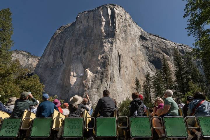 Ranger fired for hanging transgender flag in Yosemite and park visitors may face prosecution