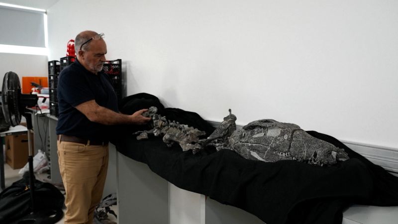 Descubren en Argentina un cocodrilo prehistórico que probablemente cazaba dinosaurios